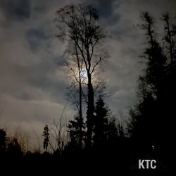 2022-12-08 Vollmond Lauftreff Wolgangl - 6715E1B3-ACCC-44E3-B6DD-010D1A5DD279 2022-12-08 Vollmond Lauftreff Wolgangl - 6715E1B3-ACCC-44E3-B6DD-010D1A5DD279